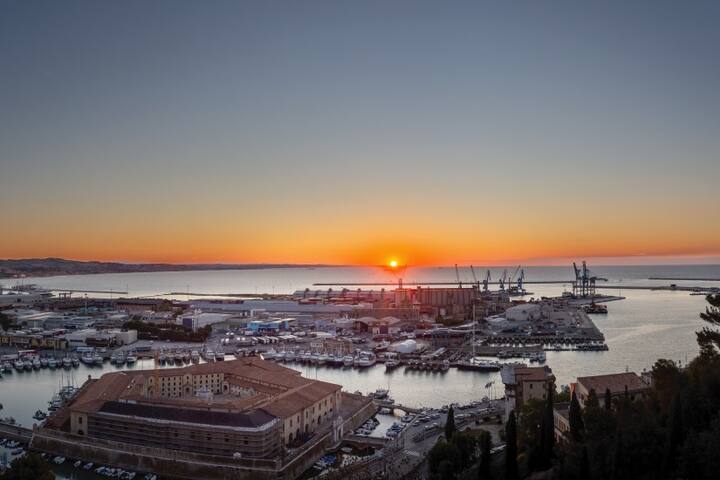 Ancona