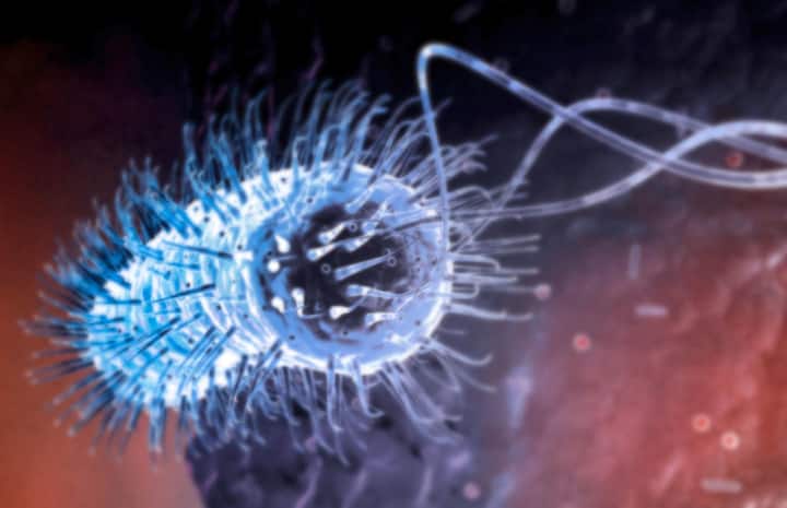 HELICOBACTER PYLORI