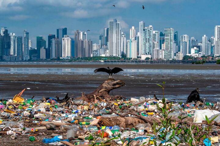 déchets