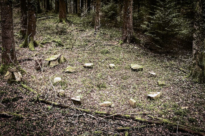 Christophe Chammartin
