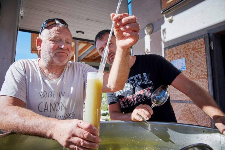 DIDIER JORIS, SES DERNIERES VENDANGES