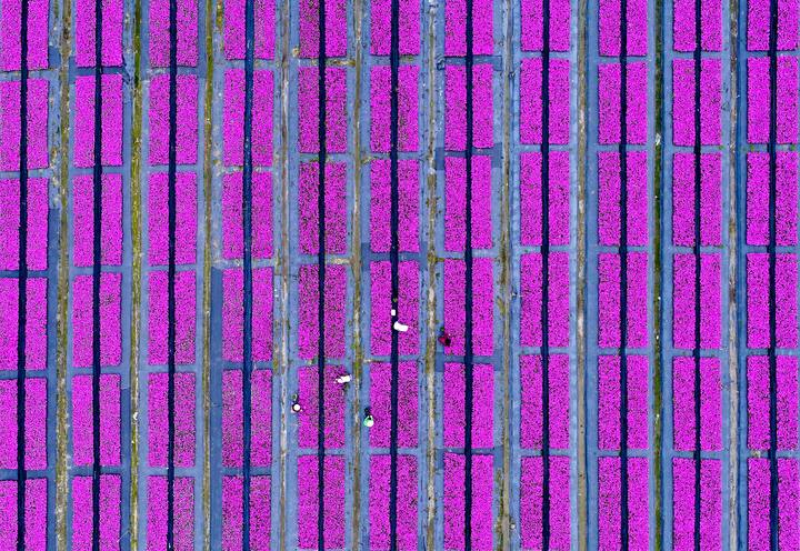 file736xtk13pit16z53i7yi