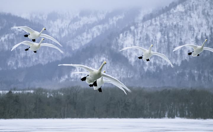 file7dhf006bp1swjmueefn