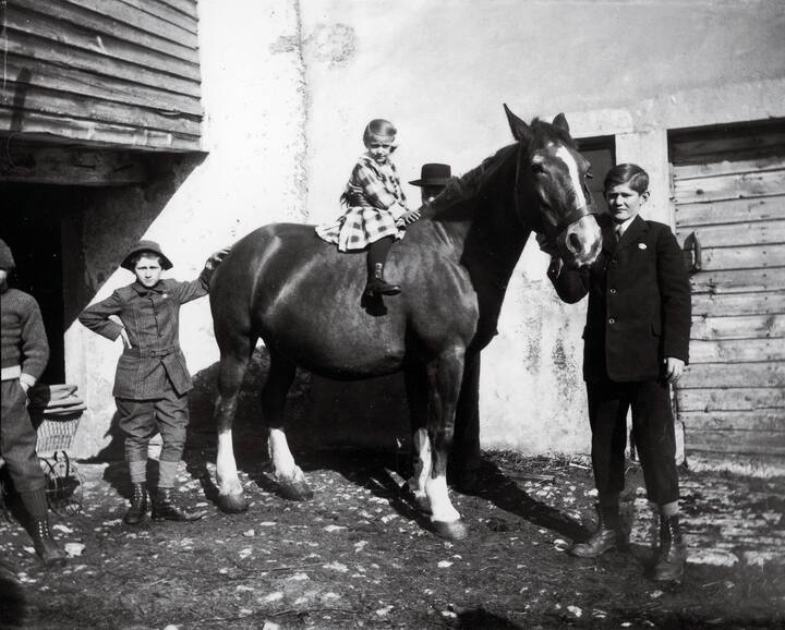 jeune fille sur un cheval