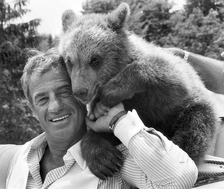 Bildnummer: 51801923  Datum: 25.06.1982  Copyright: imago/SommerSchauspieler Jean-Paul Belmondo (FRA) mit dem Bâ°ren Beethoven wâ°hrend des Drehs zum Film - Das As der Asse - in Bayern, Personen , Tiere , optimistisch; 1982, Bayern, SW, Bâ°r, Sâ°ugetiere; , quer, Kbneg, Einzelbild, Film, Kunst, Deutschland, Aktion, People