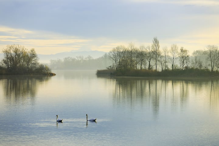 Le Rhône
