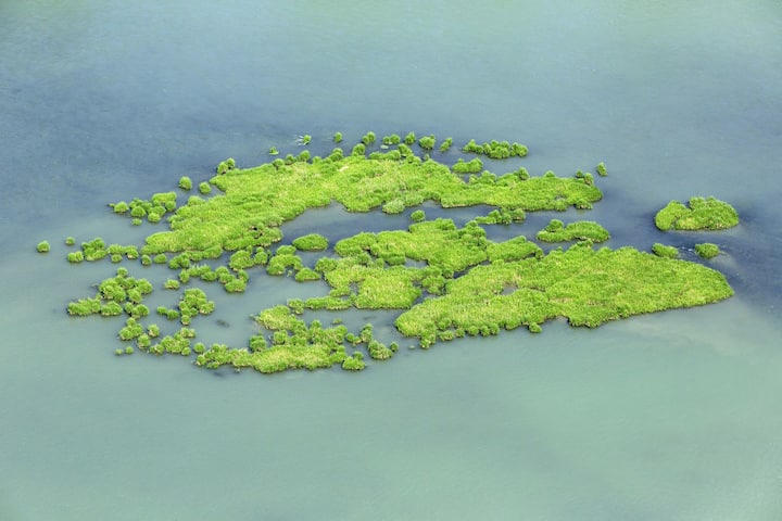 Le Rhône