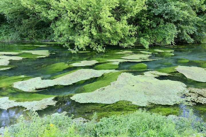 Le Rhône