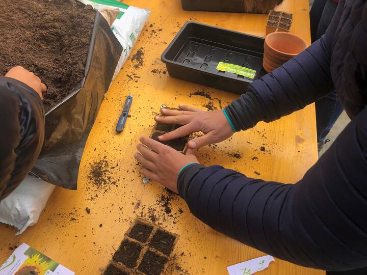 Atelier potager organisé pour les lecteurs et lectrices de L'illustré en compagnie de Falc Zollinger