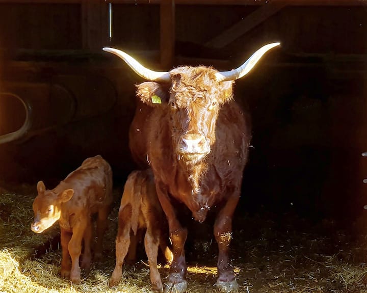 la Ferme de Combazin