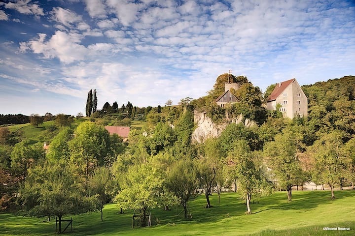 Château de Pleujouse