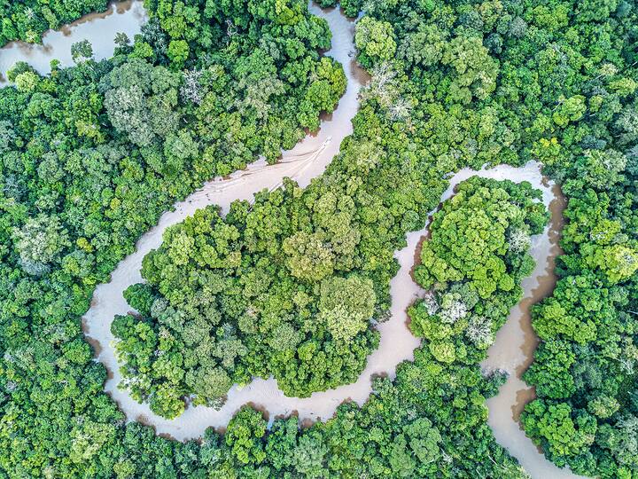 Odzala National Park - Republic of Congo