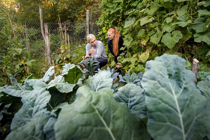 Someo: la cuoca Marie Robert incontra cuoco Pietro Leemann. Nella foto Marie Robert e Pietro Leemann mentre raccolgono verdure dall'orto. © Ti-Press / Pablo Gianinazzi