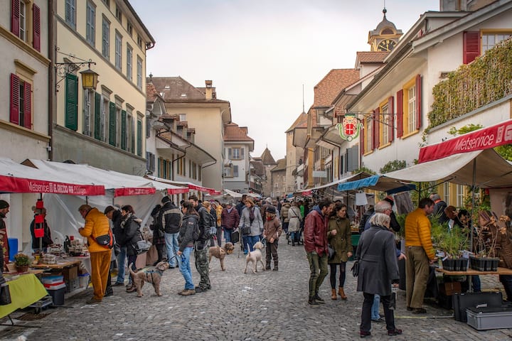 Le marché aux truffes de Morat se tiendra du 19 au 20 novembre prochain.