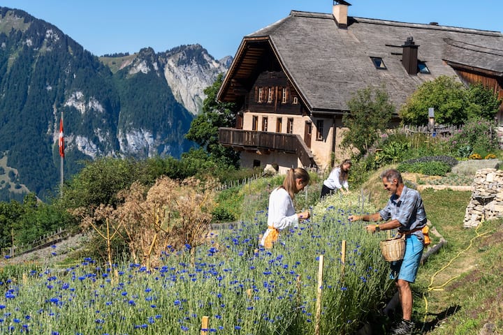 Le jardin de Rossinière (VD)