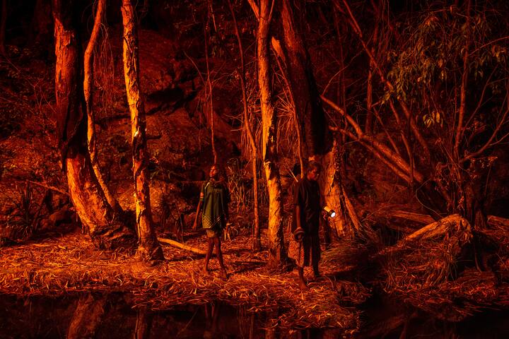 World Press Photo