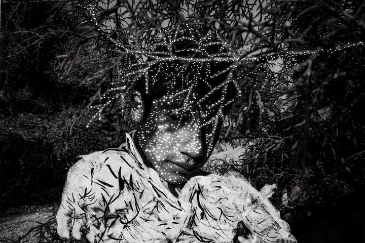 World Press Photo