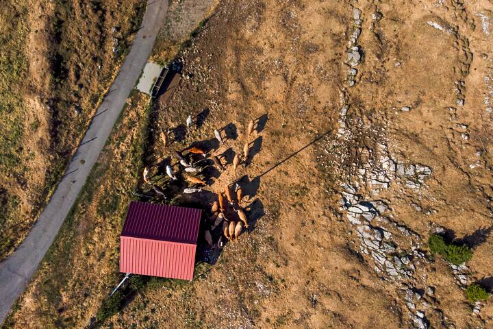 L’alpage des Trois Chalets