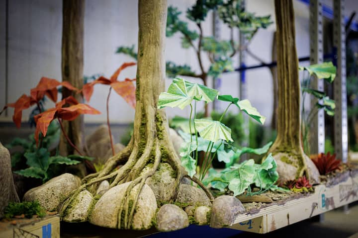 Les faux arbres du décor du film "Sauvages!"