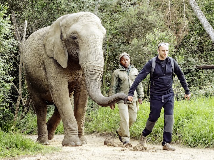 Le refuge d’éléphants de Hartbeespoort Dam en Afrique du Sud