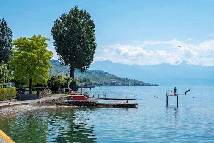 Plage de la Pierre ronde de Paudex, Vaud.
