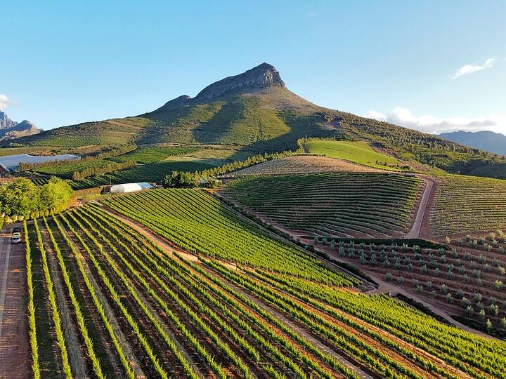 Stellenbosch