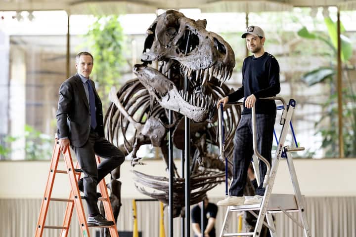 T-Rex
