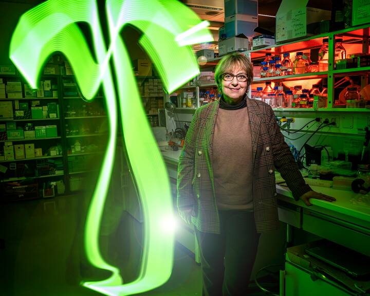 Brigitte Galliot, professeure en biologie moléculaire à la Faculté des sciences de l’Université de Genève, qui étudie les hydres depuis trente-trois ans.