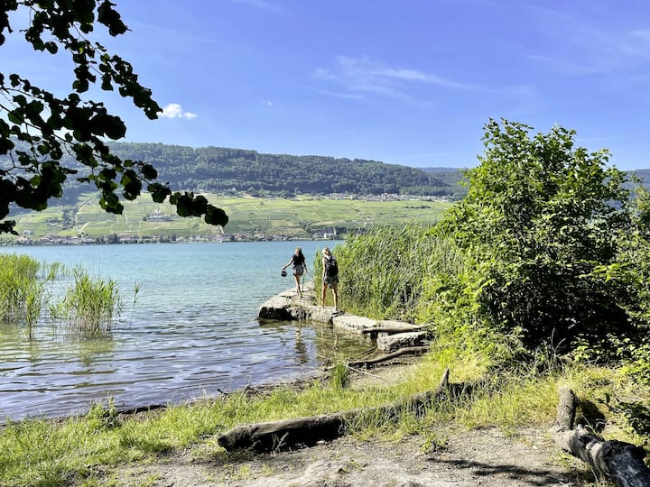 île Saint-Pierre
