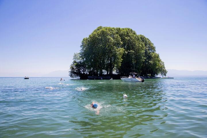 la plus grande île du lac Léman, se situant près de Rolle