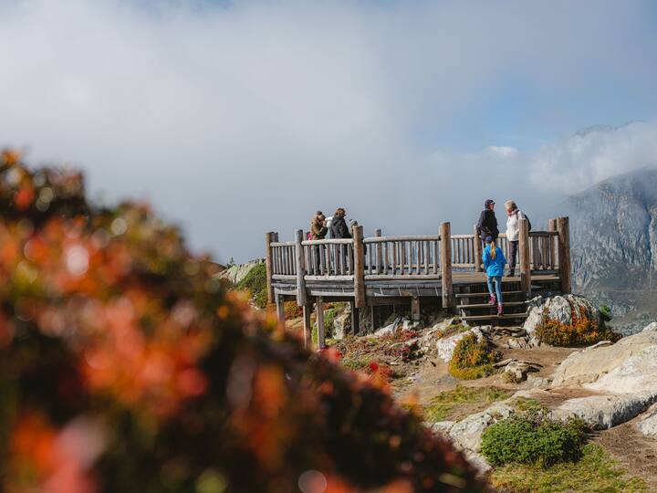View Point Moosfluh im Sommer