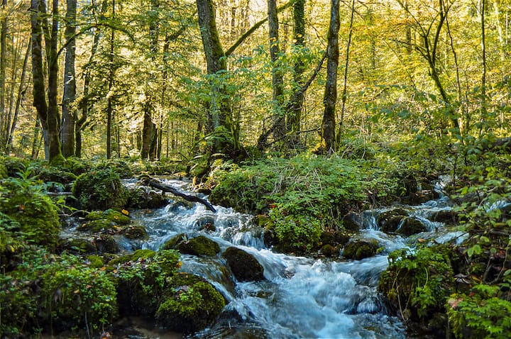 Le bord du petit lac Vert d’Undervelier, dans les gorges du Pichoux.
