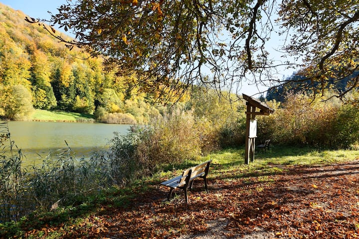 Les forêts sont magnifiques autour du beau petit lac de Lucelle, sur la frontière franco-suisse.