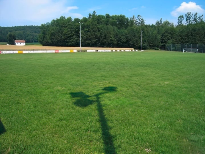 Nicole Petignat a toujours aimé les terrains de foot.