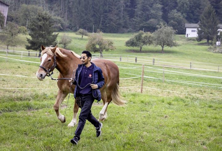 Tim avec son cheval Espoir, reportage équithérapie