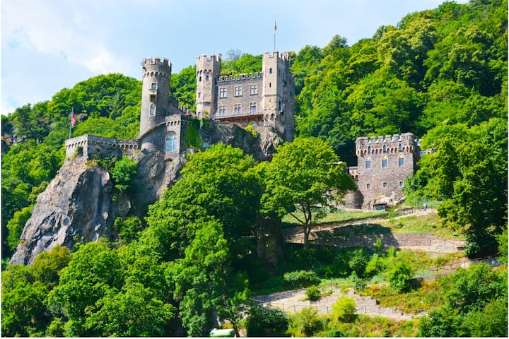 Croisière romantique au fil du Rhin