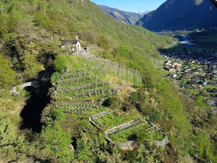 Garzoli Vini Sagl