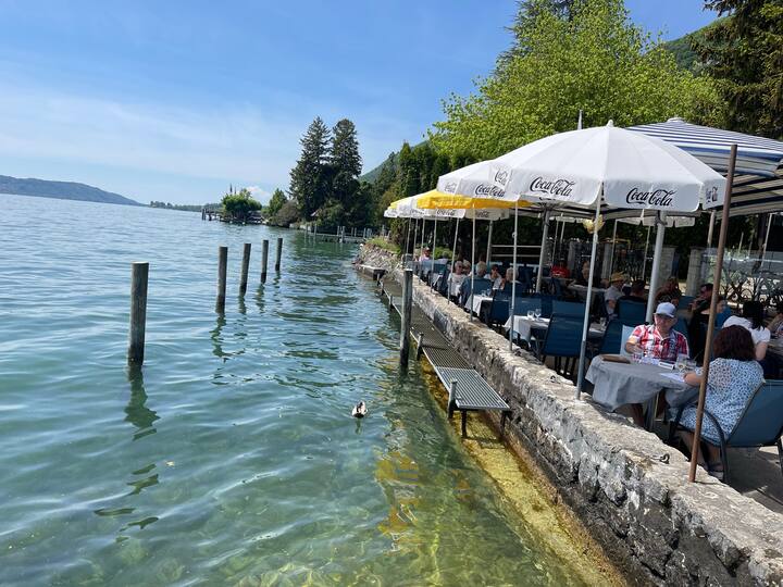 Swiss Wine 1