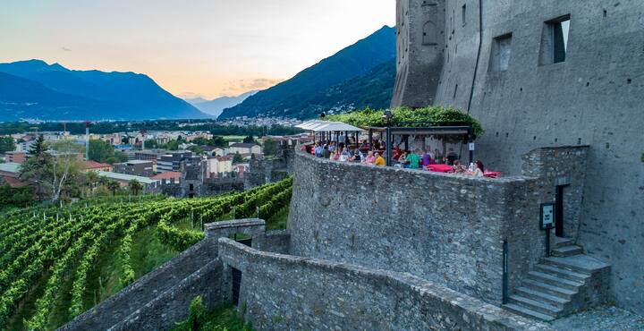 Swiss Wine 6