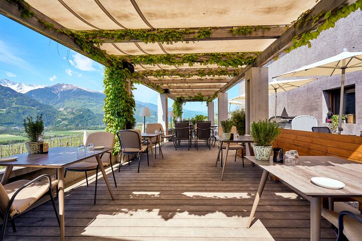 Swiss Wine 8