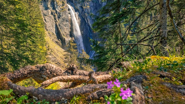 La réserve naturelle du Suldtal