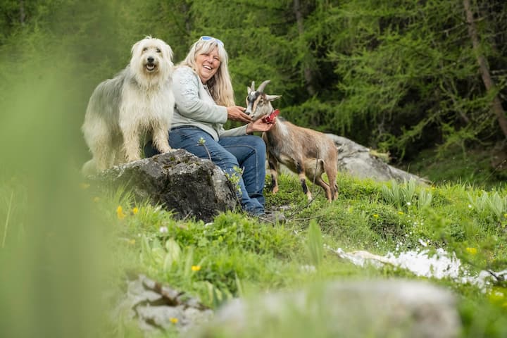 Patricia Wyssenbach organise des randonnées avec ses chèvres naines et ses deux chiens de berger.