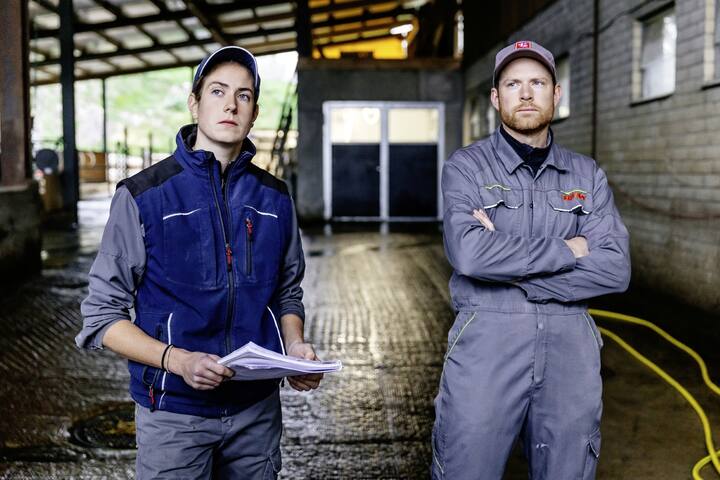Visite à la ferme Roy à Porrentruy un jour de soins vétérinaires où les vaches sont atteintes de la maladie de la langue bleue