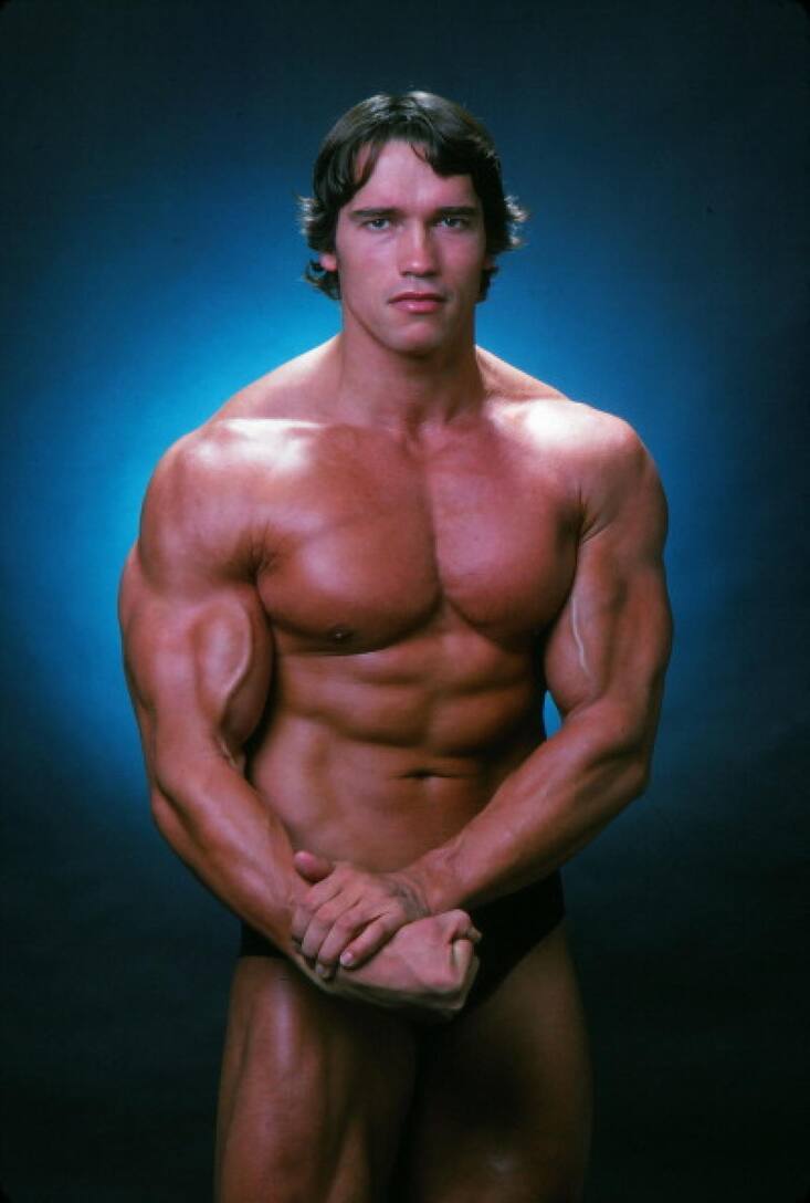 VIP ARNOLD SCHWARZENEGGER