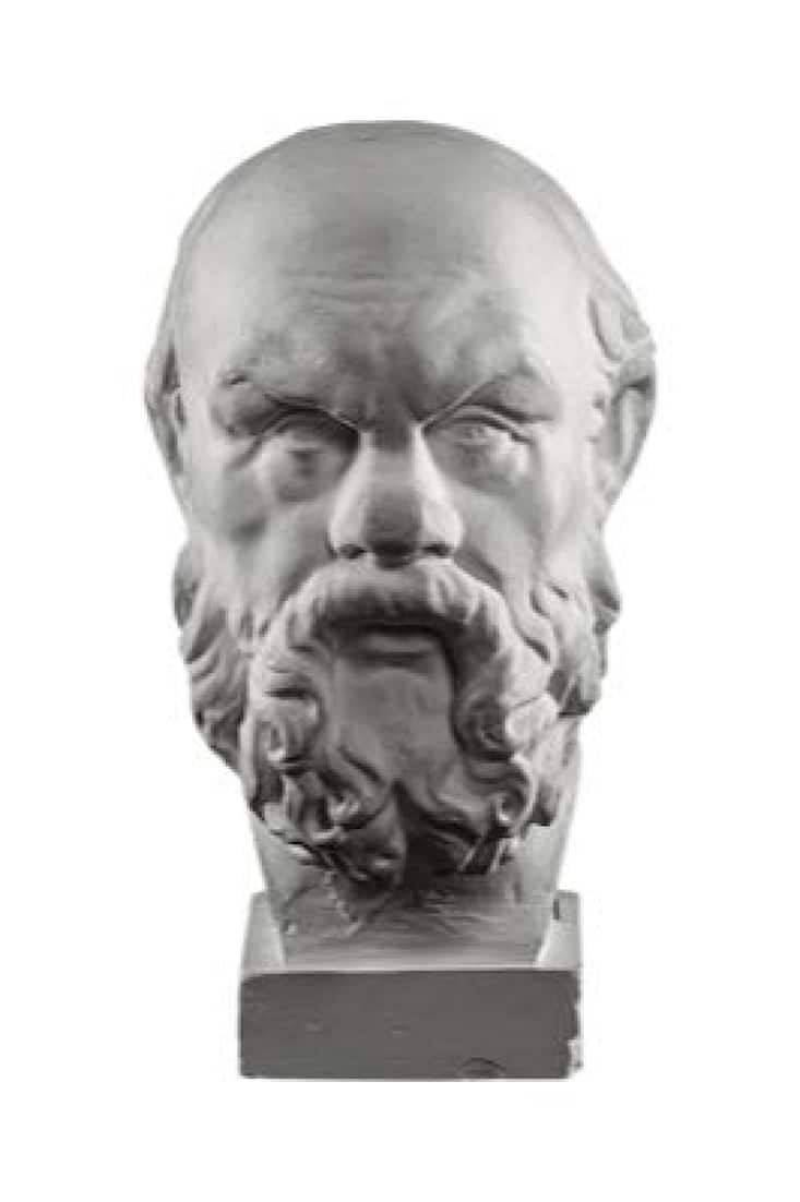 Mâles au cheveux
