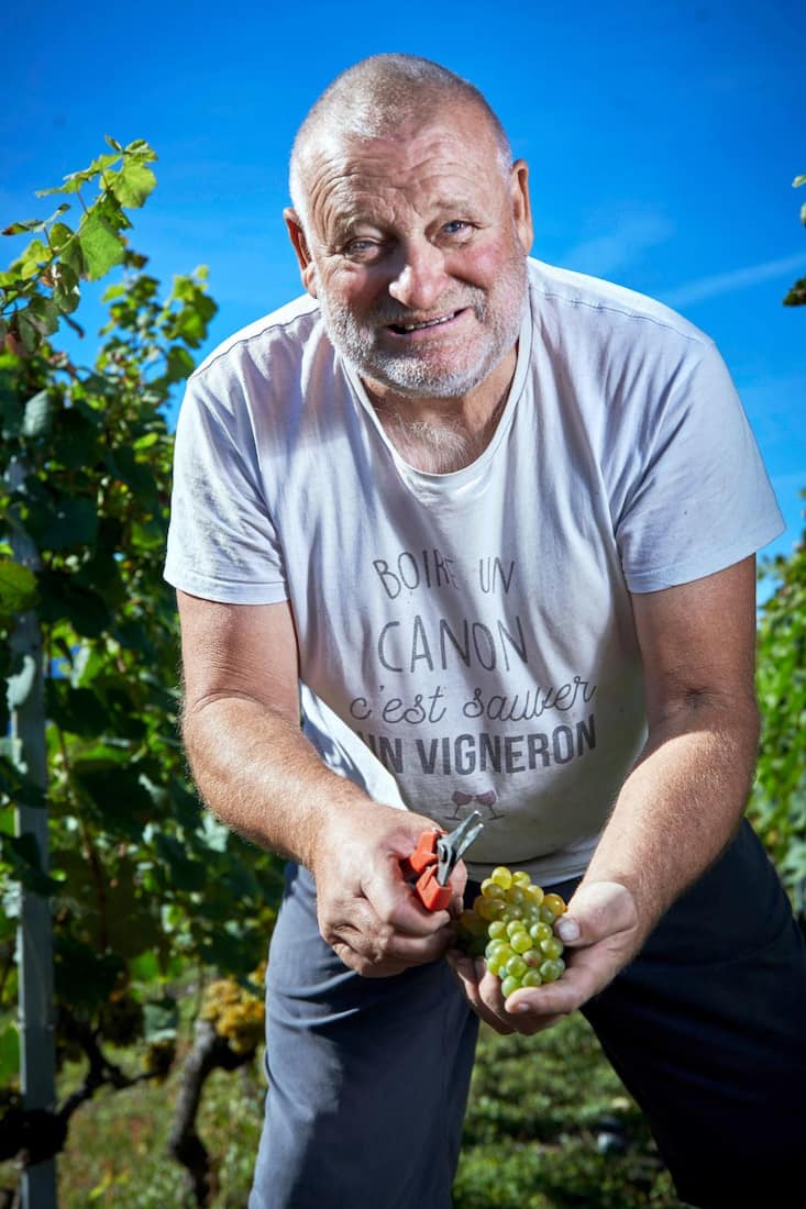 DIDIER JORIS, SES DERNIERES VENDANGES