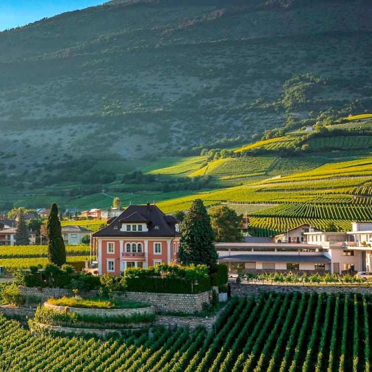 Domaine des Chevaliers, Salquenen