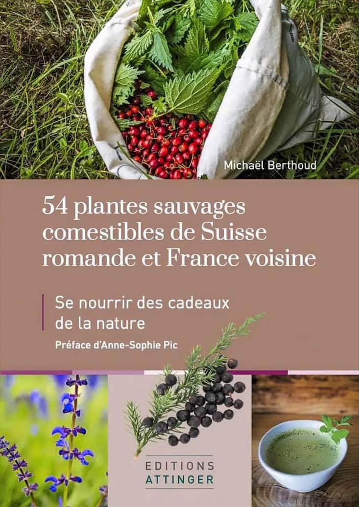 Michaël Berthoud