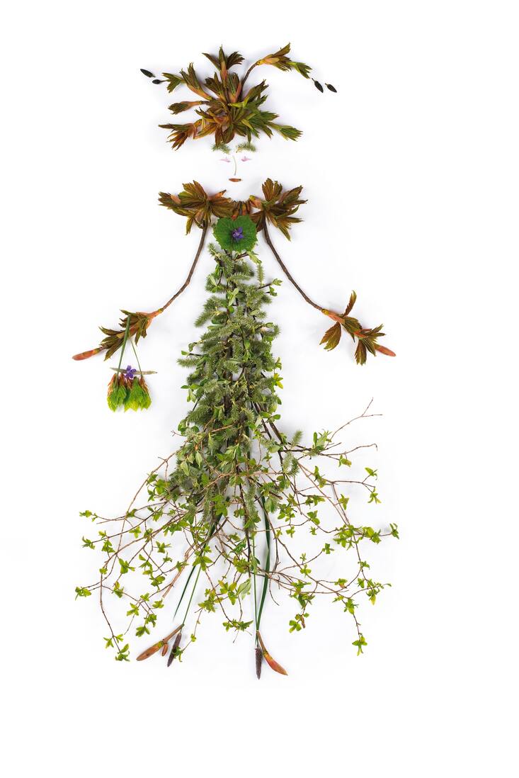 Natures mortes: composition de femmes-fleurs à partir de fleurs et de feuilles
