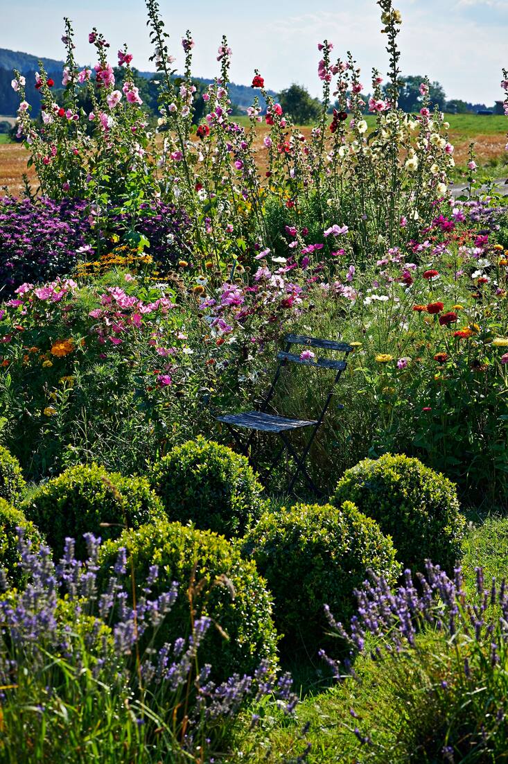 Jardin paysan en fleurs de Betty et Marcel